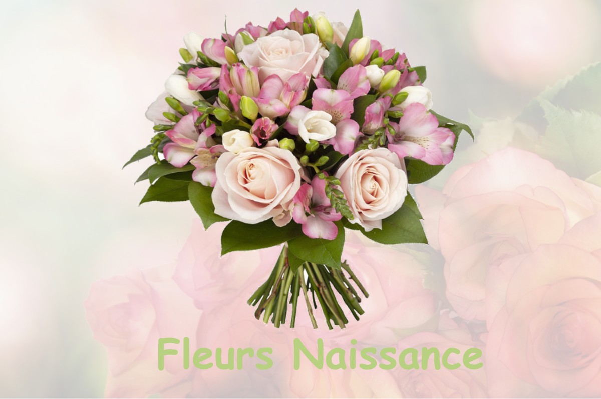 fleurs naissance NEVY-SUR-SEILLE