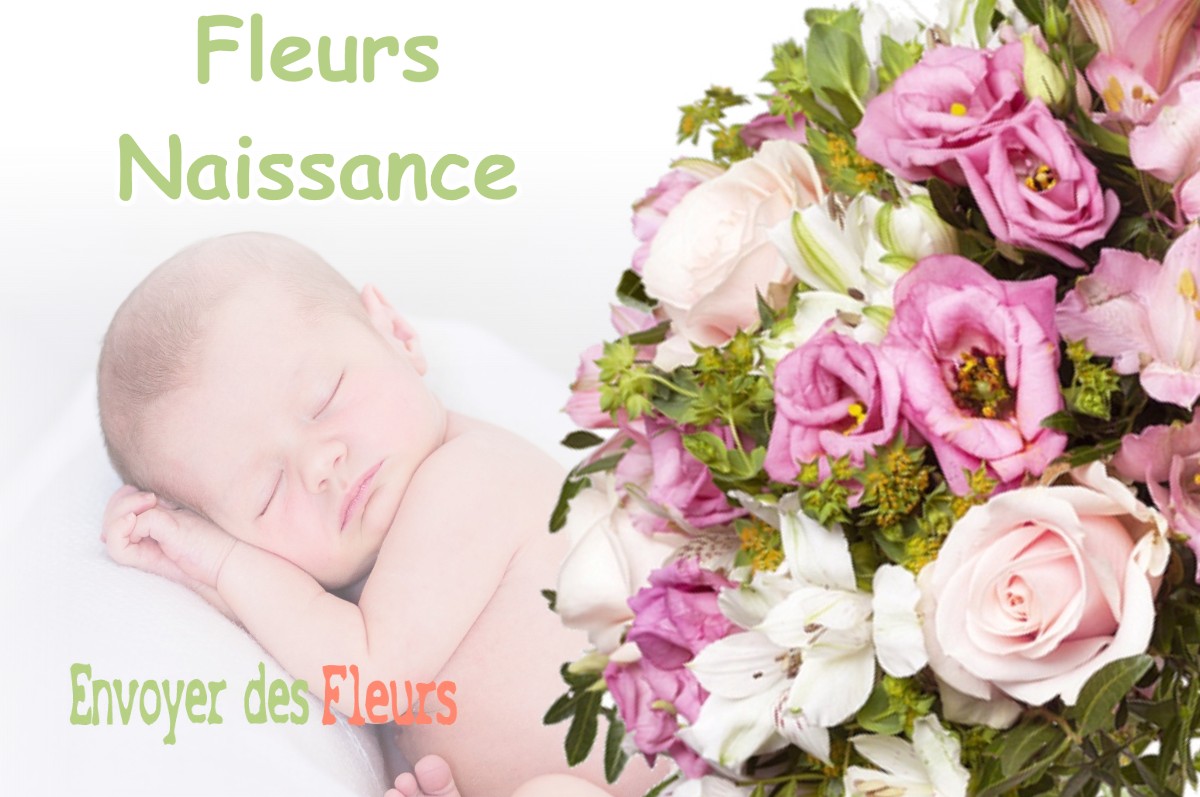 lIVRAISON FLEURS NAISSANCE à NEVY-SUR-SEILLE